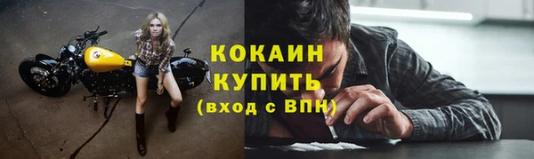 PSILOCYBIN Богородицк