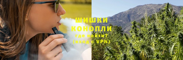 PSILOCYBIN Богородицк