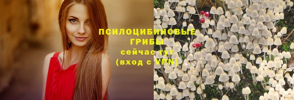PSILOCYBIN Богородицк