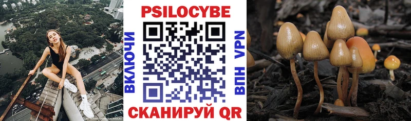Галлюциногенные грибы GOLDEN TEACHER Демидов